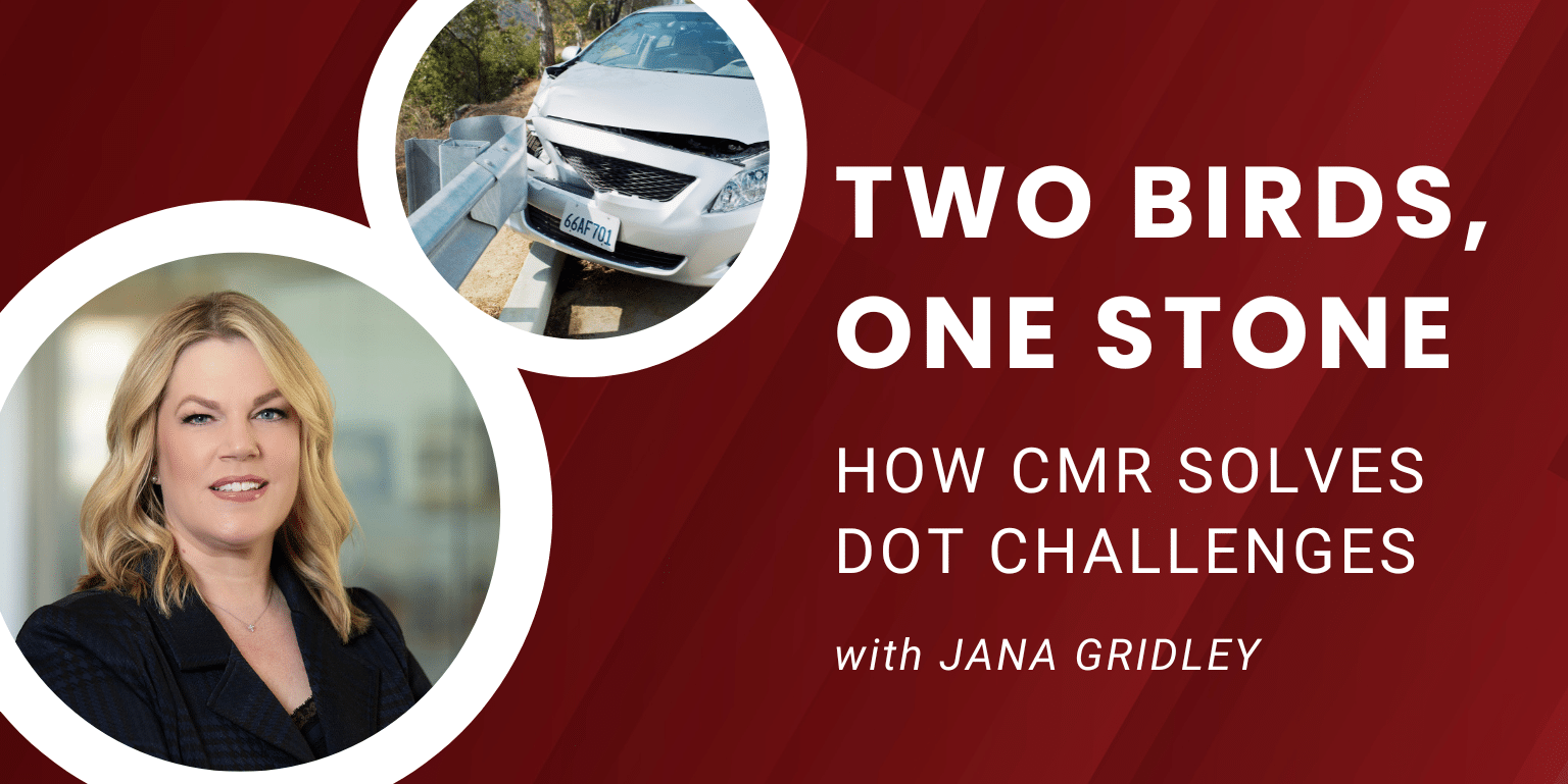 cmr 2 birds blog header